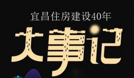 宜昌大事爆料视频
